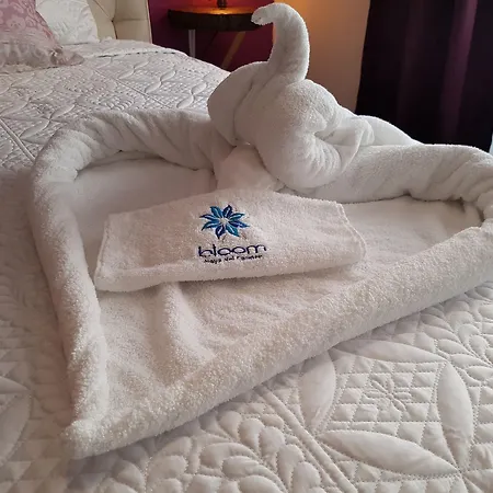 Bloom! Exclusive Boutique B&B (Adults Only)-2